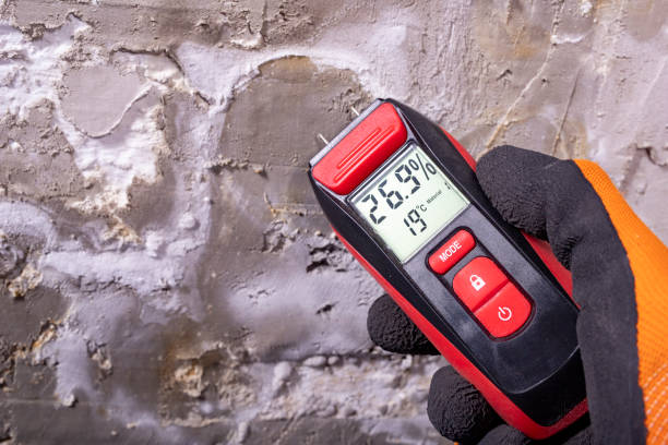 Certified Mold Removal in Dudley, NC