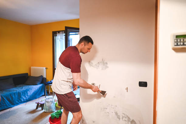Best Office Mold Removal Services  in Dudley, NC